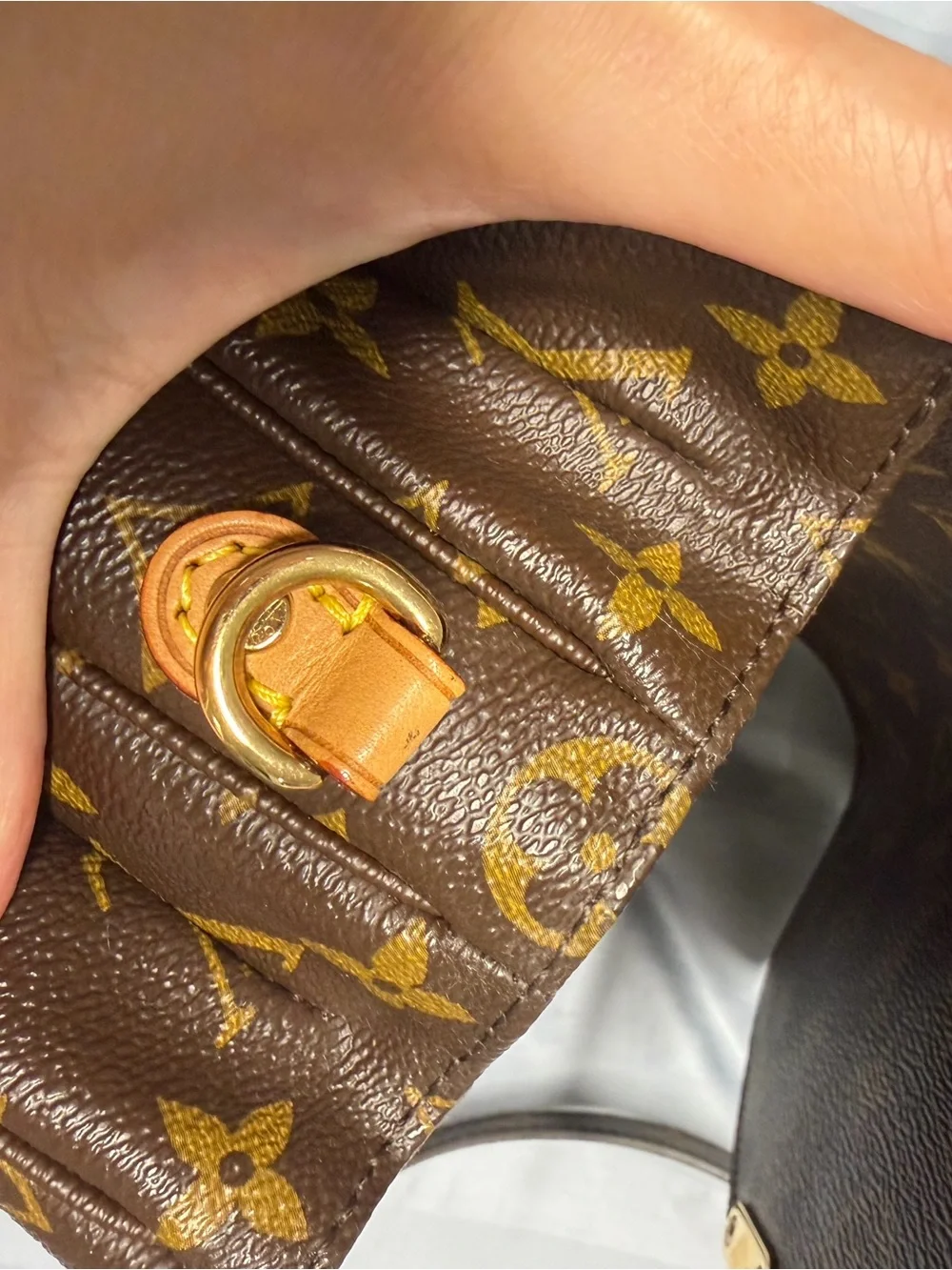Louis Vuitton Metis pochette monogram canvas shoulder bag